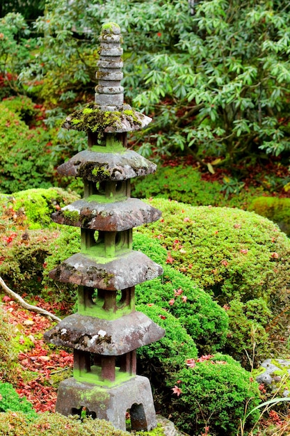 Japanese garden with moss and stone elements