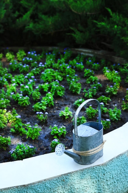 Sustainable water management in garden design